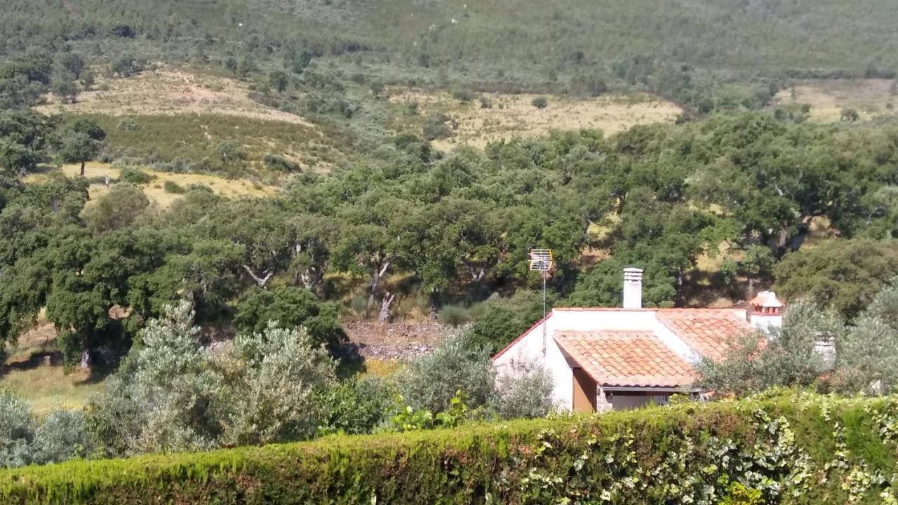 La Cabana Romantica De Llano Valencia de Alcántara المظهر الخارجي الصورة