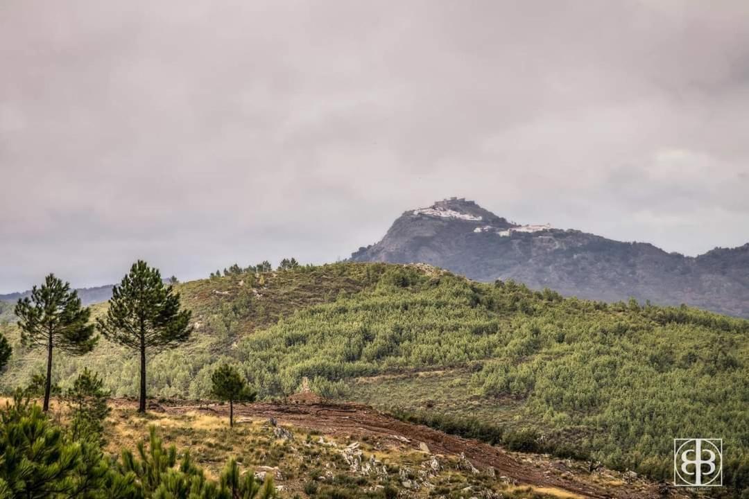 La Cabana Romantica De Llano Valencia de Alcántara المظهر الخارجي الصورة